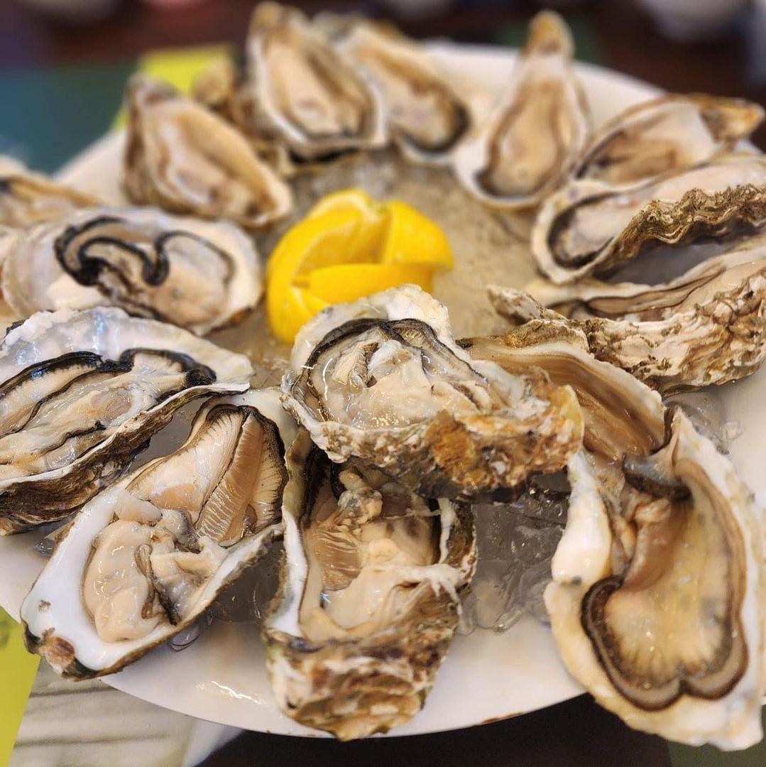 Oysters
