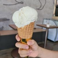 Mexican Vanilla Single Scoop Ice Cream